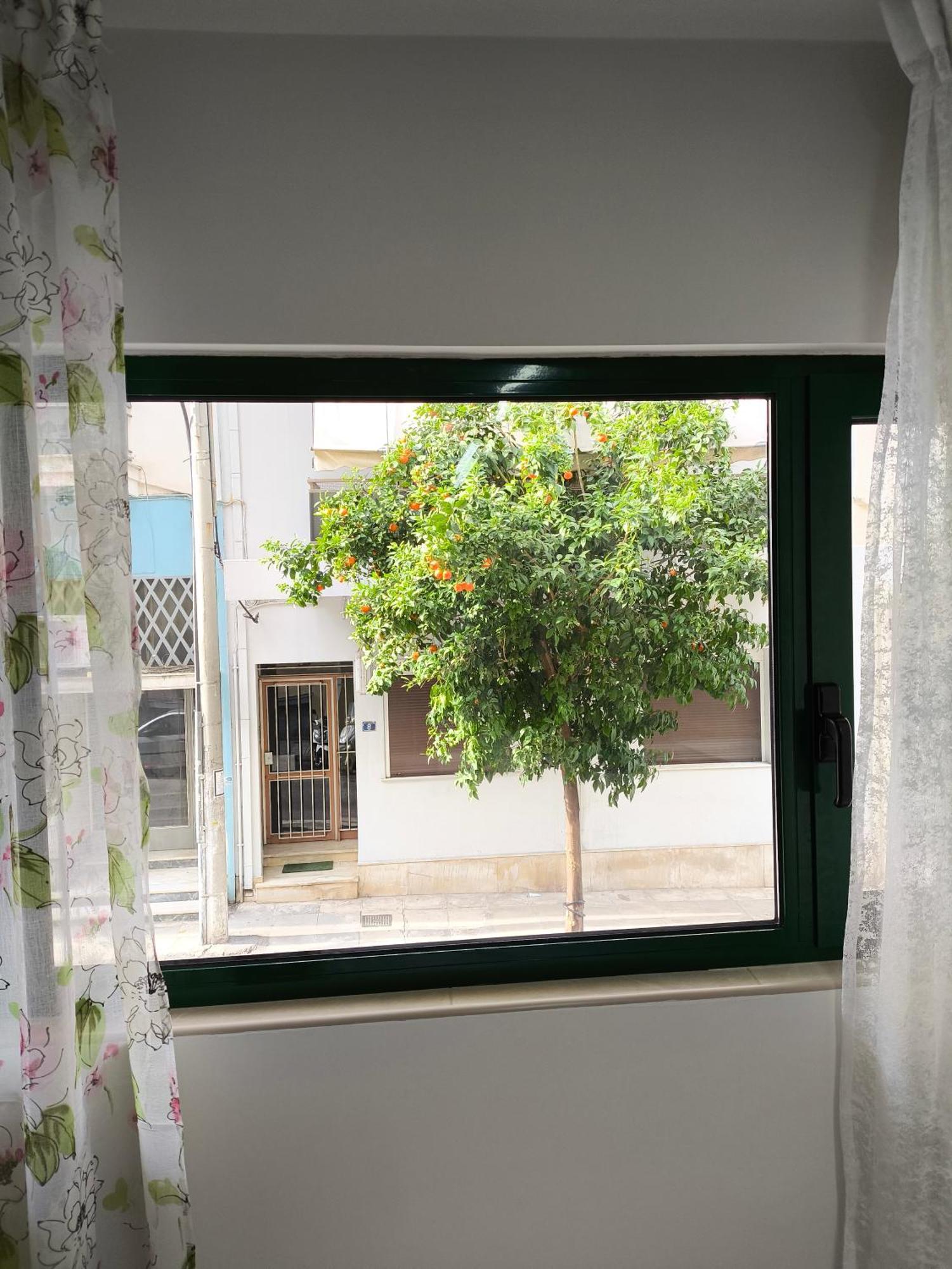 Green Home Ateny Zewnętrze zdjęcie